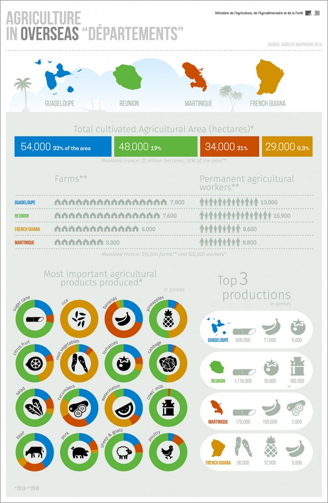 infography-agriculture-overseas