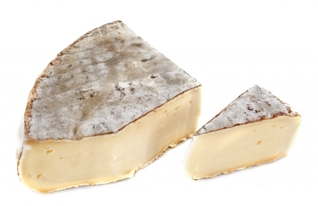 Saint-Nectaire cheese in front of white background