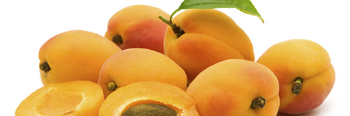 Technical information on french apricots